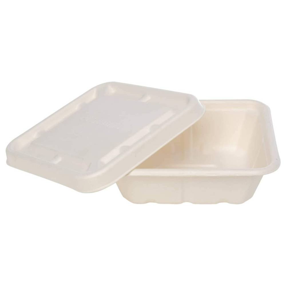 biodegradable products (2)