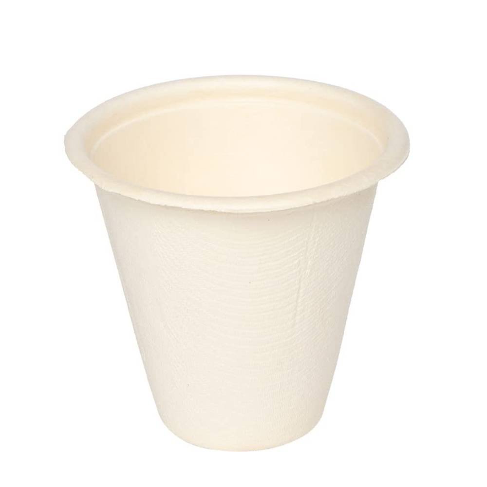 biodegradable products (3)