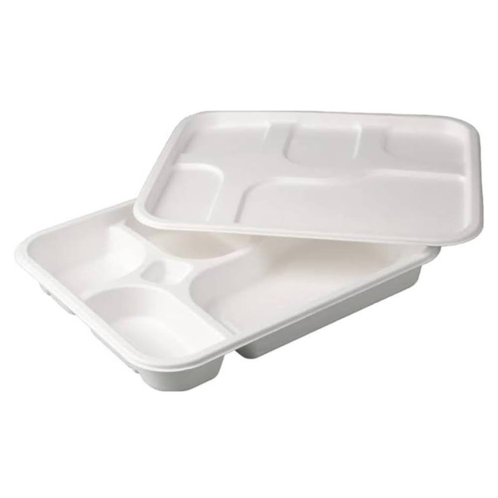 biodegradable products (5)