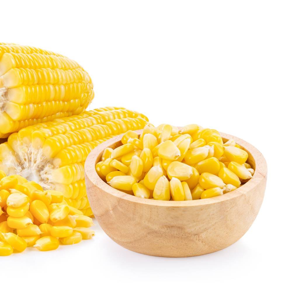 grains & pulses (10)