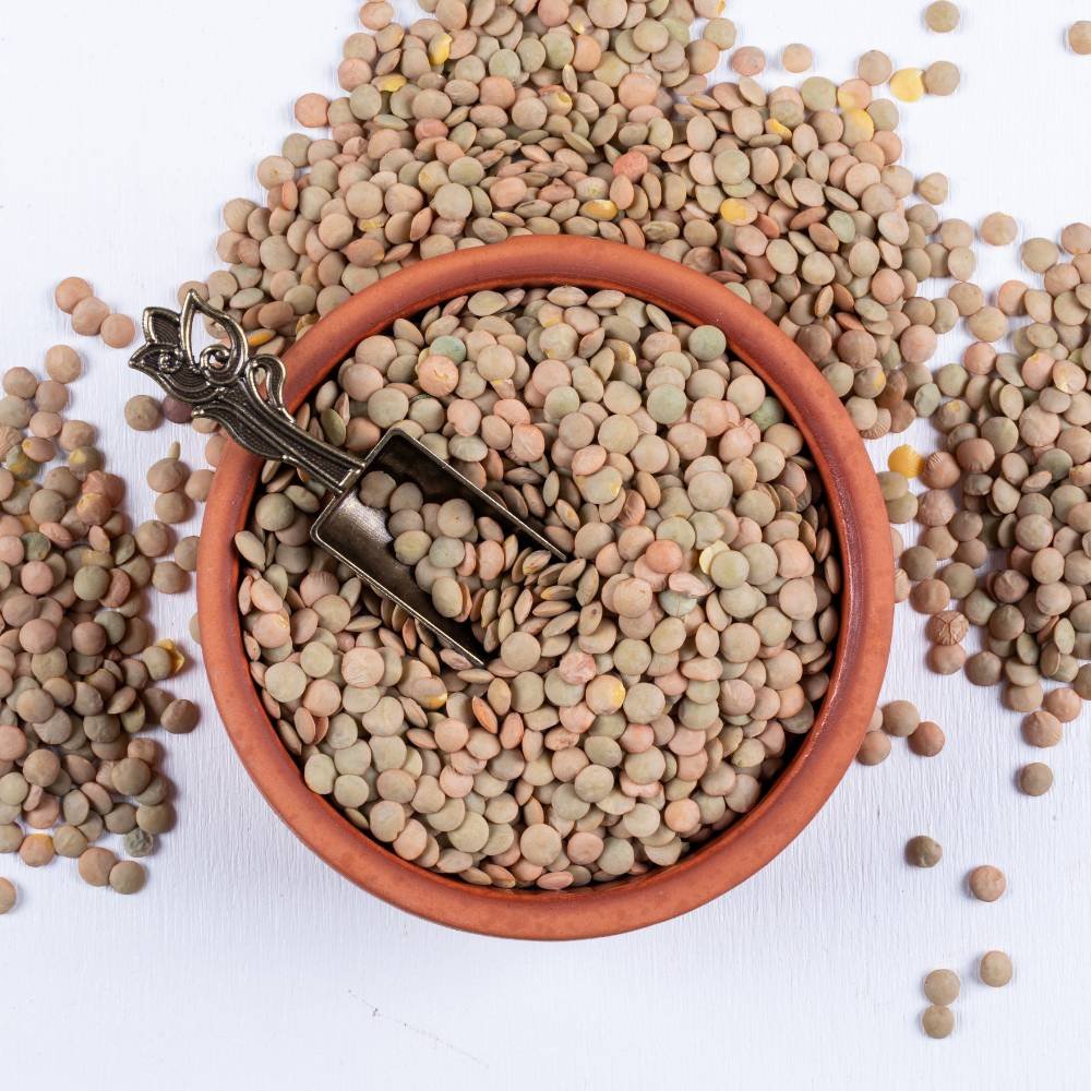 grains & pulses (12)