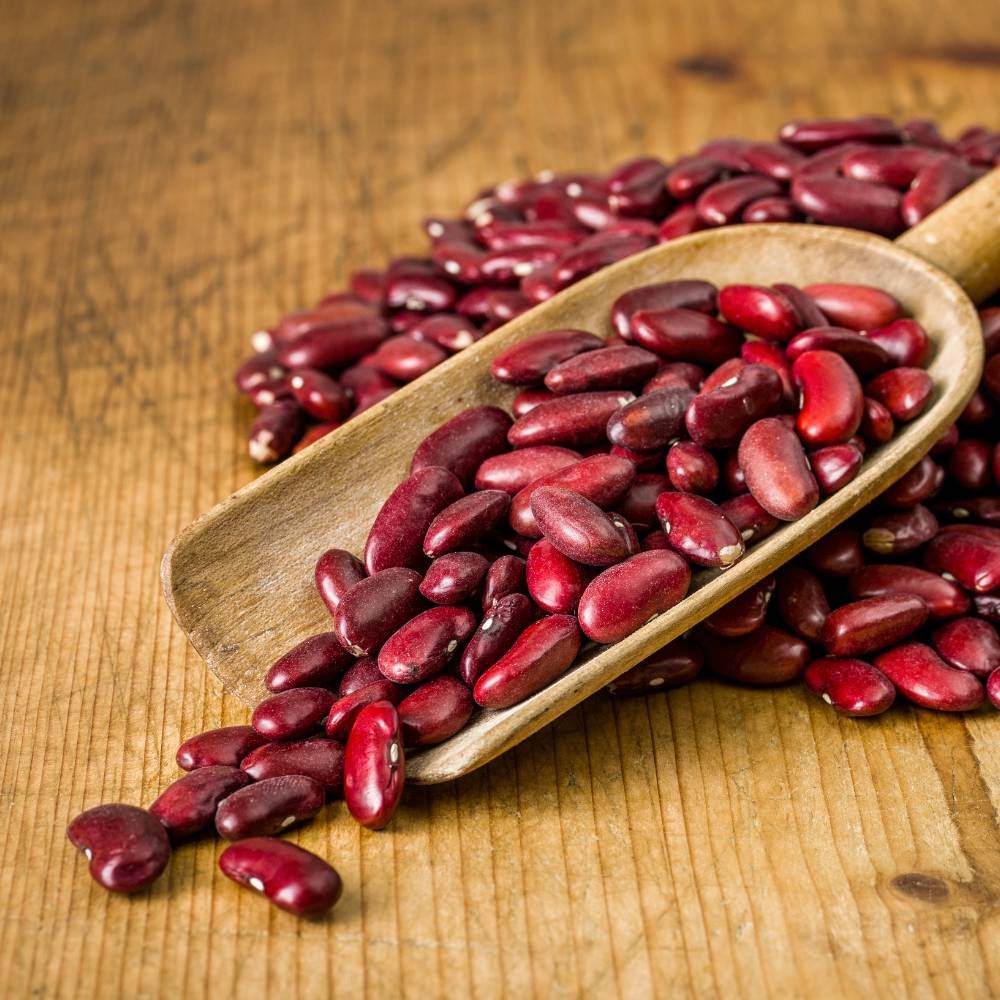 grains & pulses (16)