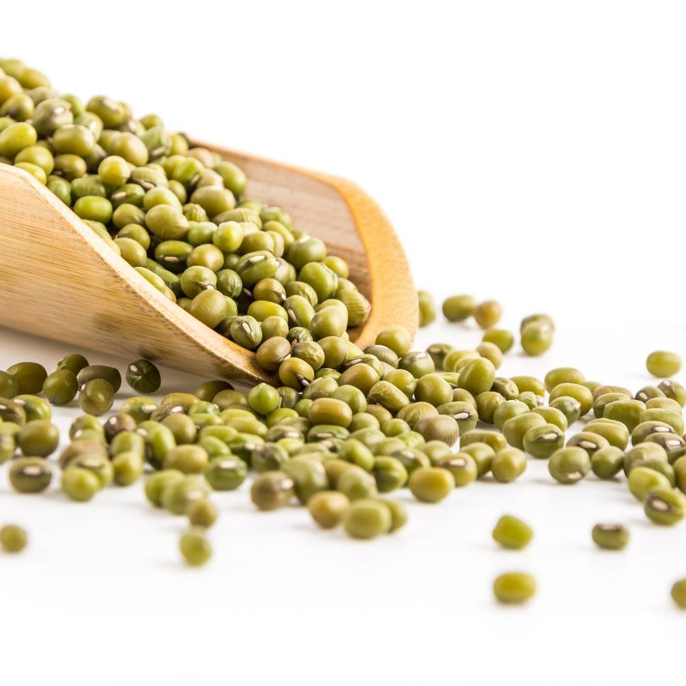 grains & pulses (8)